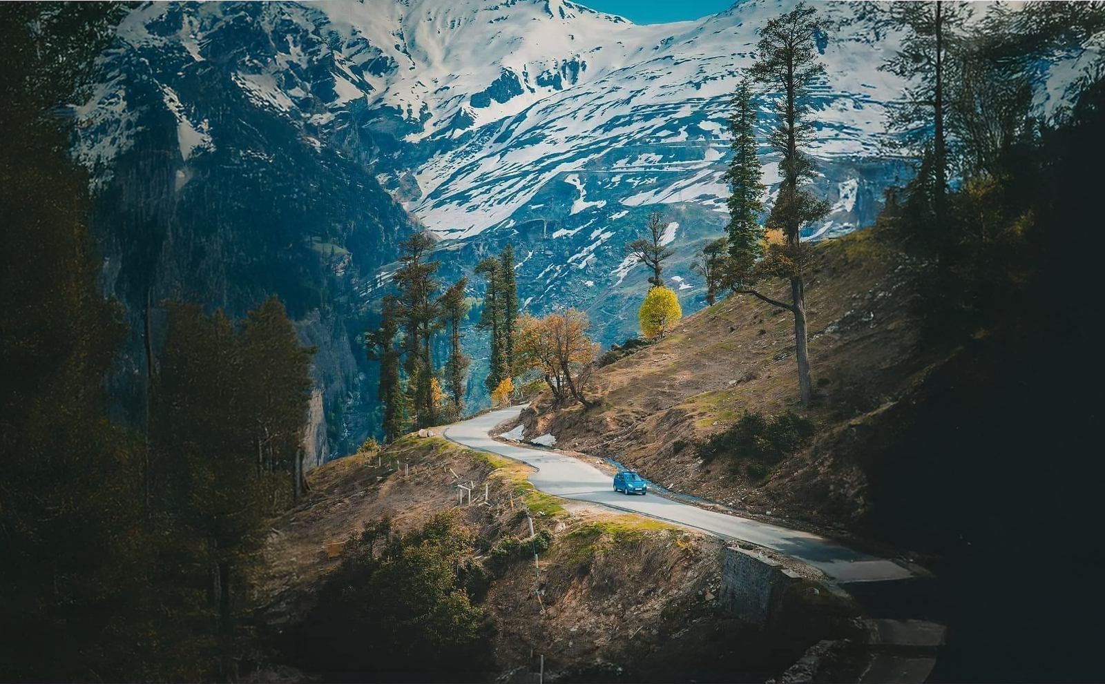 Best of Shimla and Manali